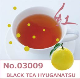 紅茶　ヒュウガナツフレーバー